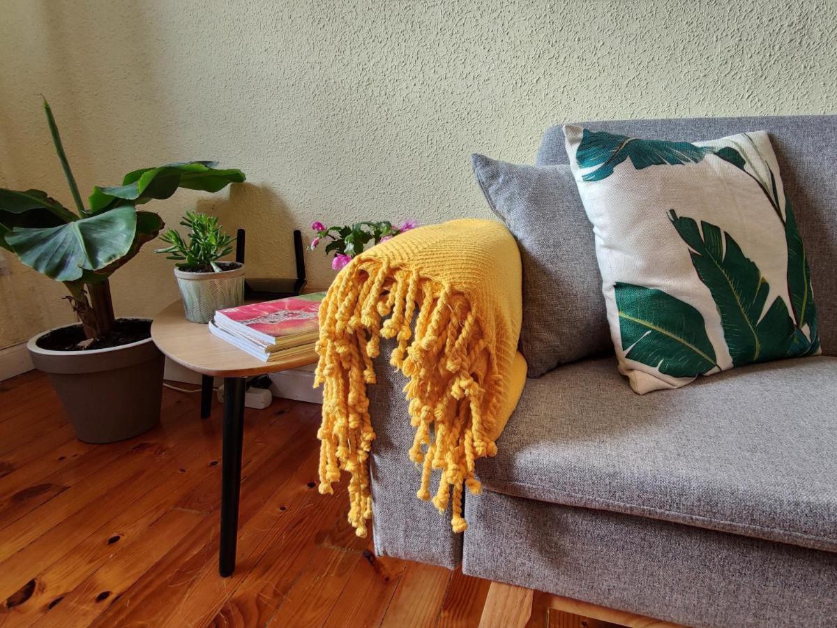 Apartamento Plaza De La Paz ハーロー エクステリア 写真